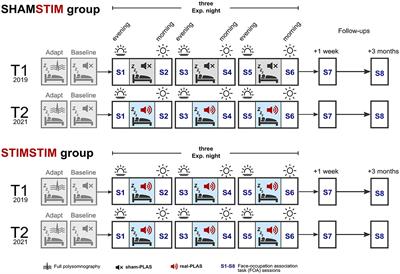 Acoustic stimulation during slow wave sleep shows delayed effects on memory performance in older adults